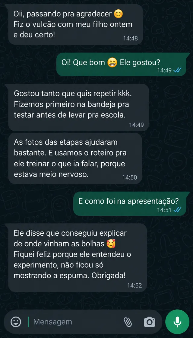 Print de conversa no WhatsApp — depoimento de professora sobre a aula prática do vulcão